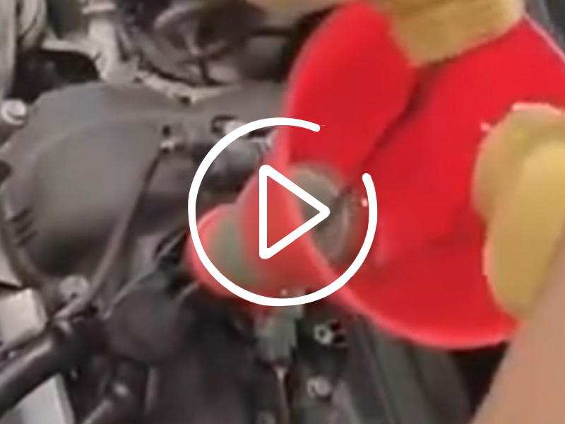 赛鹭润滑油